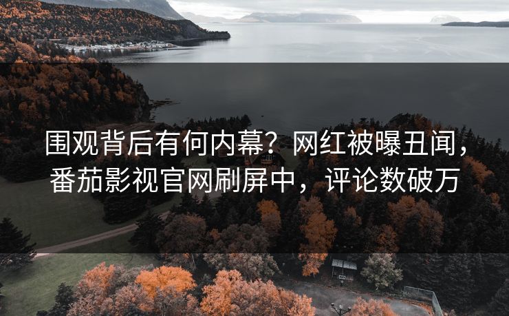 围观背后有何内幕？网红被曝丑闻，番茄影视官网刷屏中，评论数破万