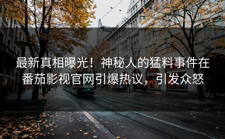 最新真相曝光！神秘人的猛料事件在番茄影视官网引爆热议，引发众怒