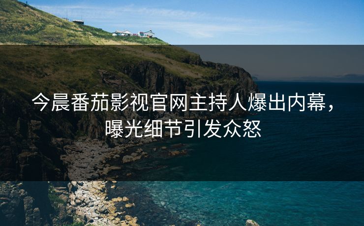 今晨番茄影视官网主持人爆出内幕，曝光细节引发众怒